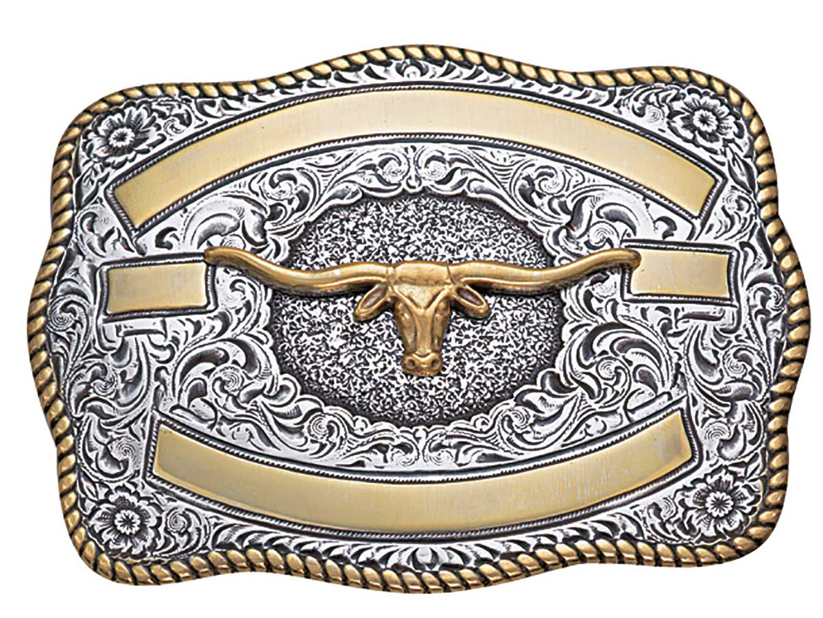 3807213.jpg