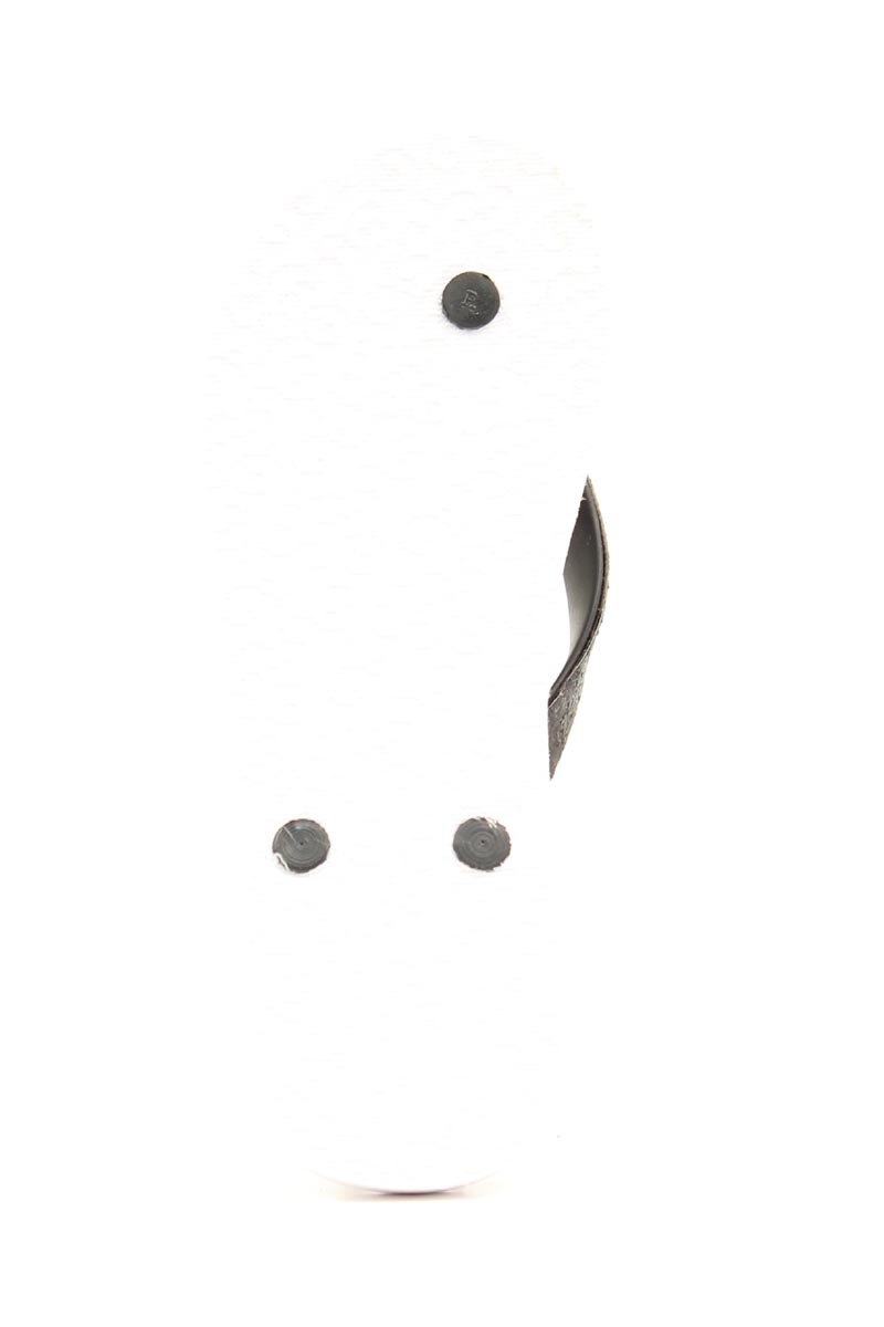 4111801C.jpg