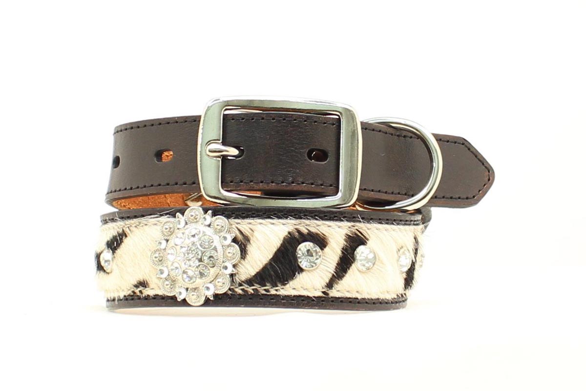 9305262.jpg